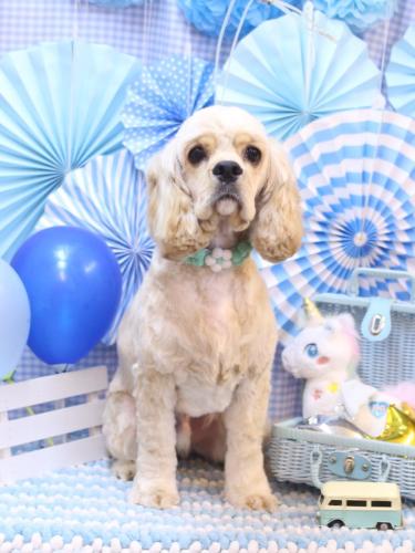 20231125たいようくん